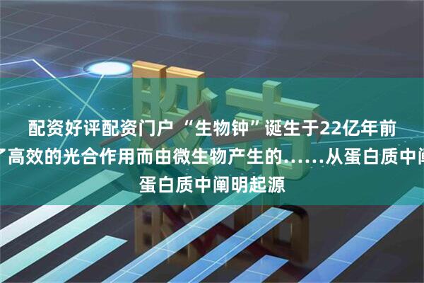 配资好评配资门户 “生物钟”诞生于22亿年前,是为了高效的光合作用而由微生物产生的……从蛋白质中阐明起源